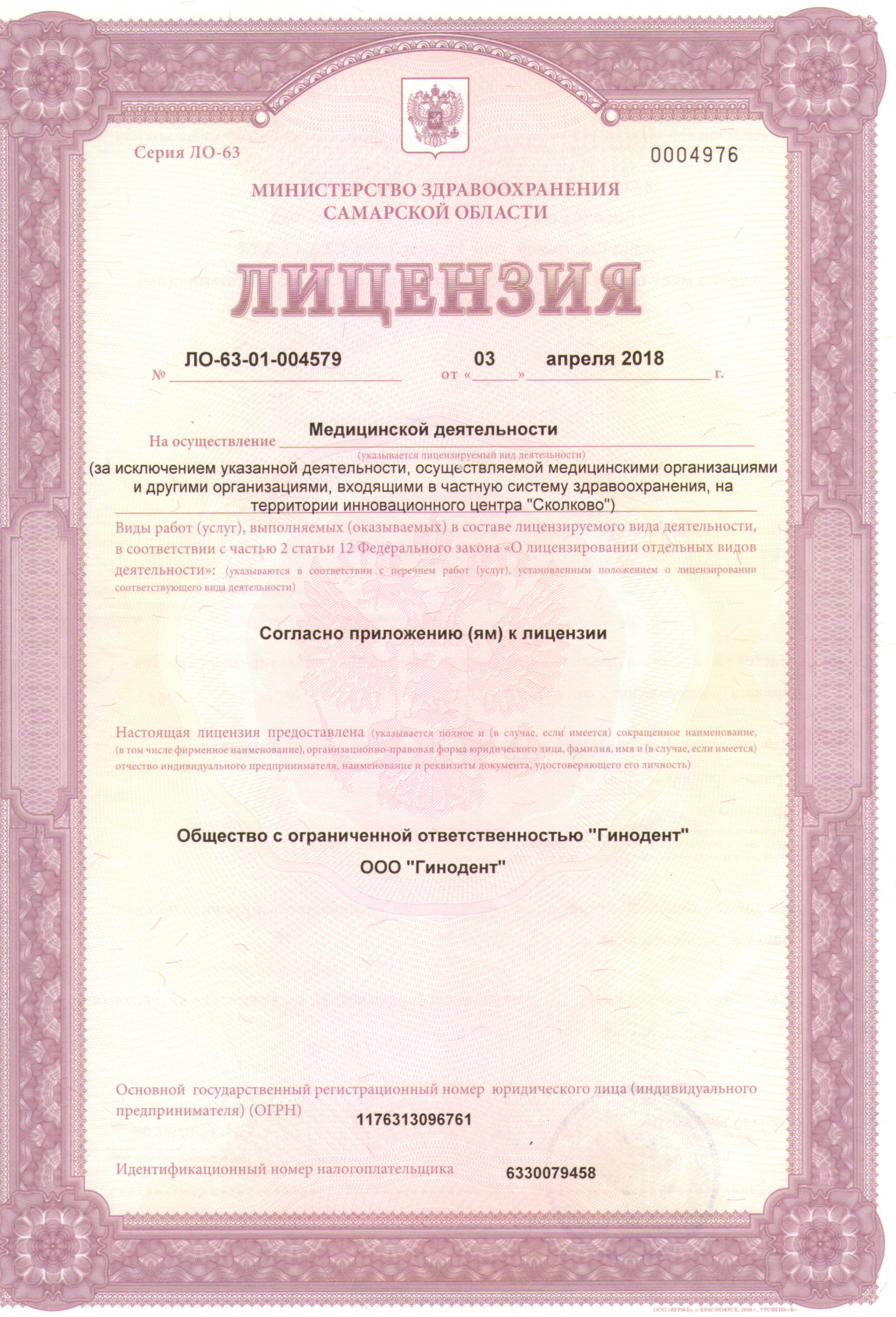 Лицензия (страница 1)