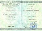 Сертификат Никитиной